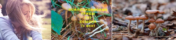 марихуана Алексеевка