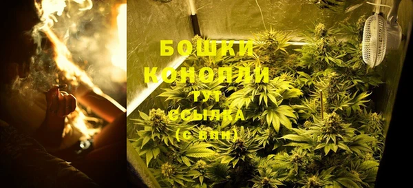 гидра Лихославль