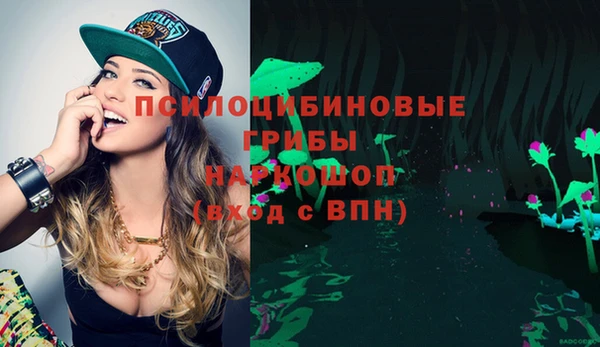 гидропоника Абаза